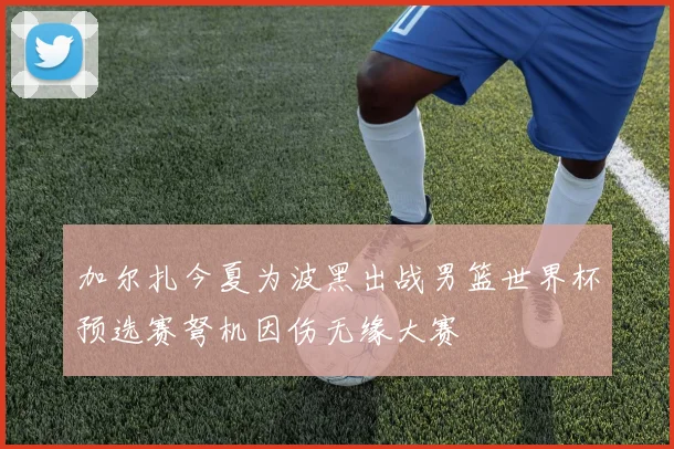 加尔扎今夏为波黑出战男篮世界杯预选赛弩机因伤无缘大赛